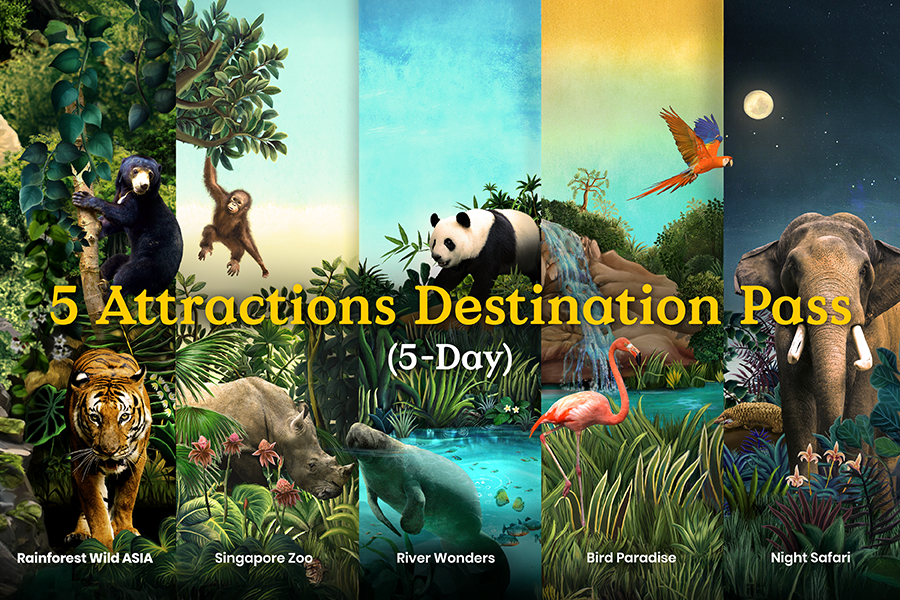 5 Attractions Destination Pass (5-Day) 