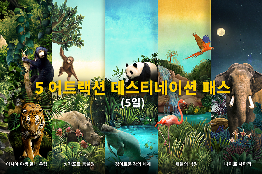 5 어트랙션 데스티네이션 패스 (5일)