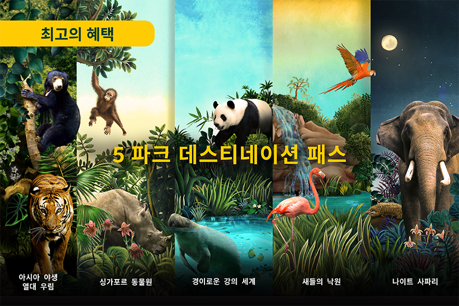 5 파크 데스티네이션 패스