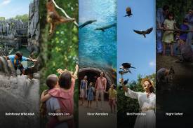 How to Visit 5 Attractions in 1 Day: A Complete Guide