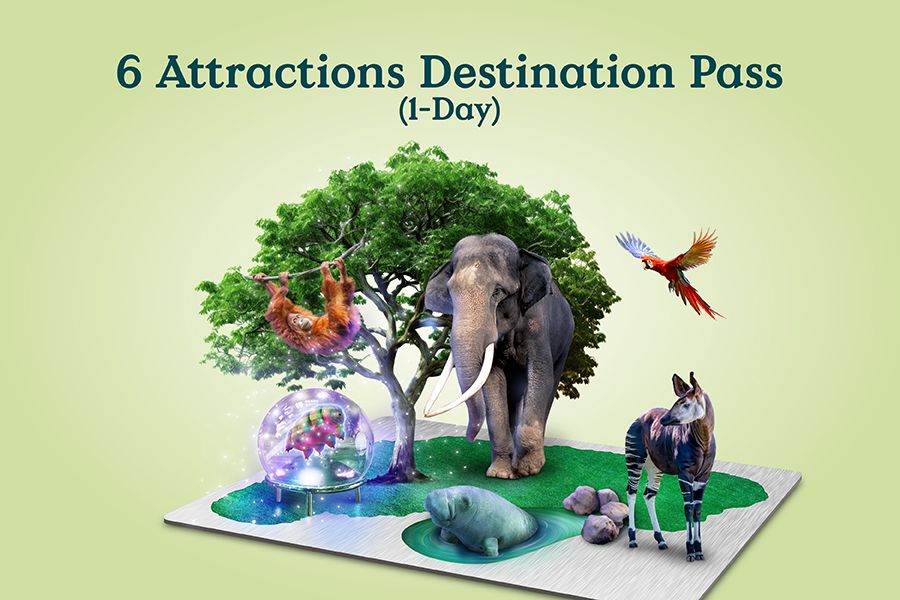 6 Attractions Destination Pass (1-Day)