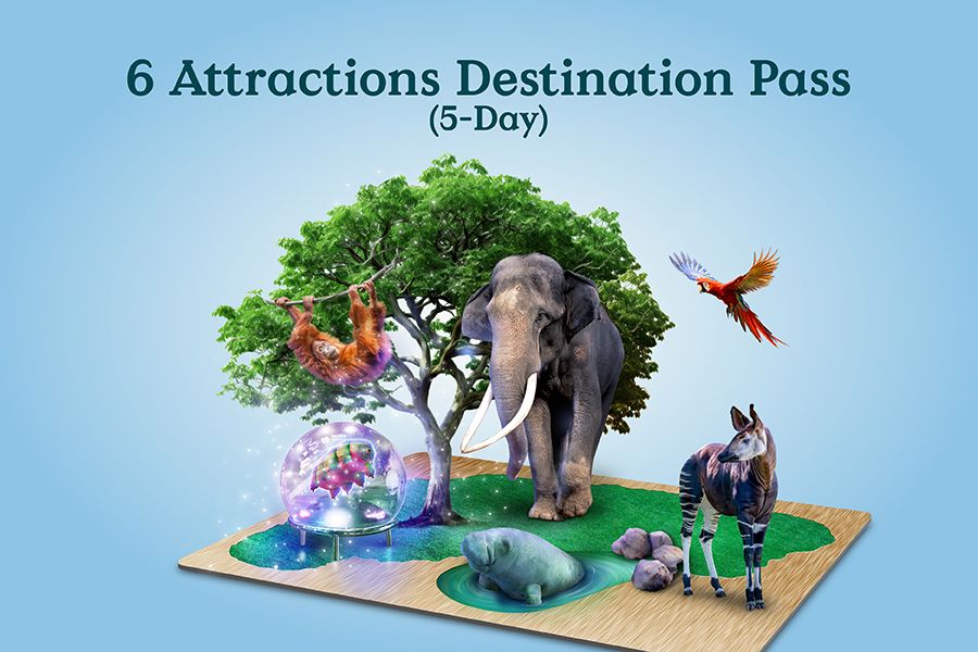 6 Attractions Destination Pass (5-Day)
