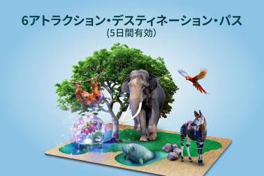6アトラクション・デスティネーション・パス（5日間有効）