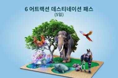 6 어트랙션 데스티네이션 패스 (5일)