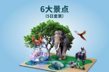 6大景点（5日套票）