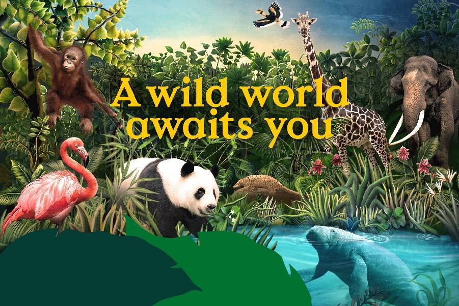 Events & Venues | Mandai Wildlife Reserve