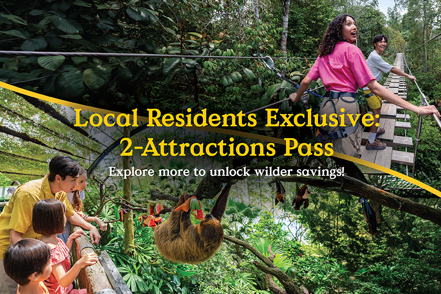 2-Attraction Pass