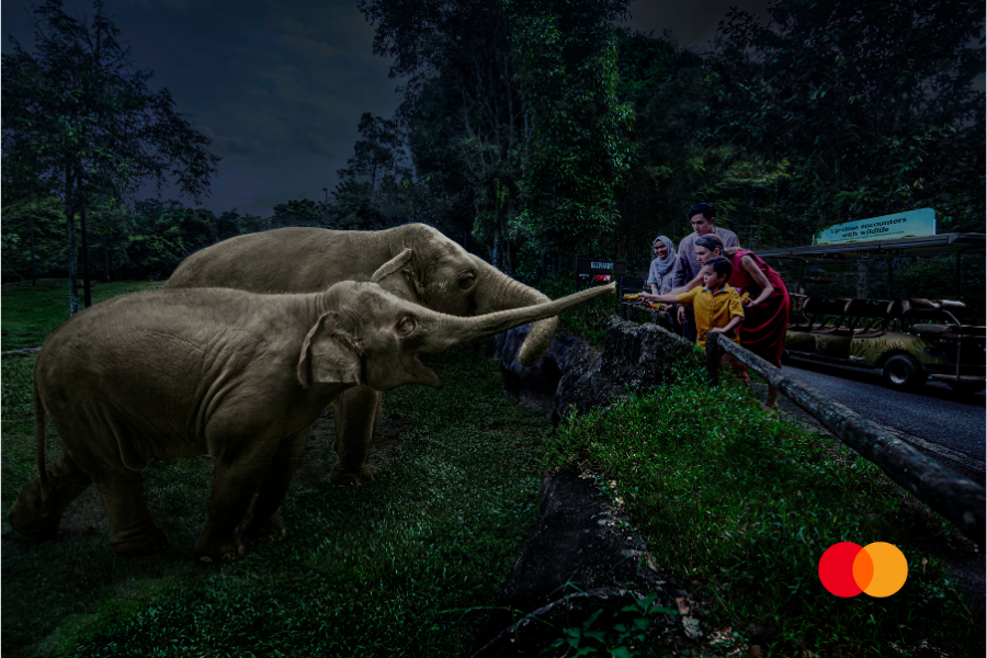A private after-dark wildlife adventure with a race-inspired twist