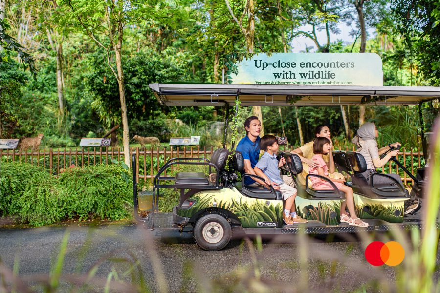 A private wildlife adventure with a race-inspired twist