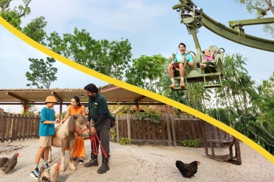 Kids Enter FREE this Children's Day