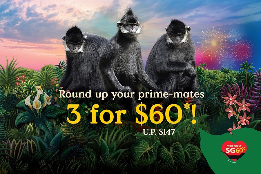 Round up your prime-mates 3 for $60*! U.P. $147