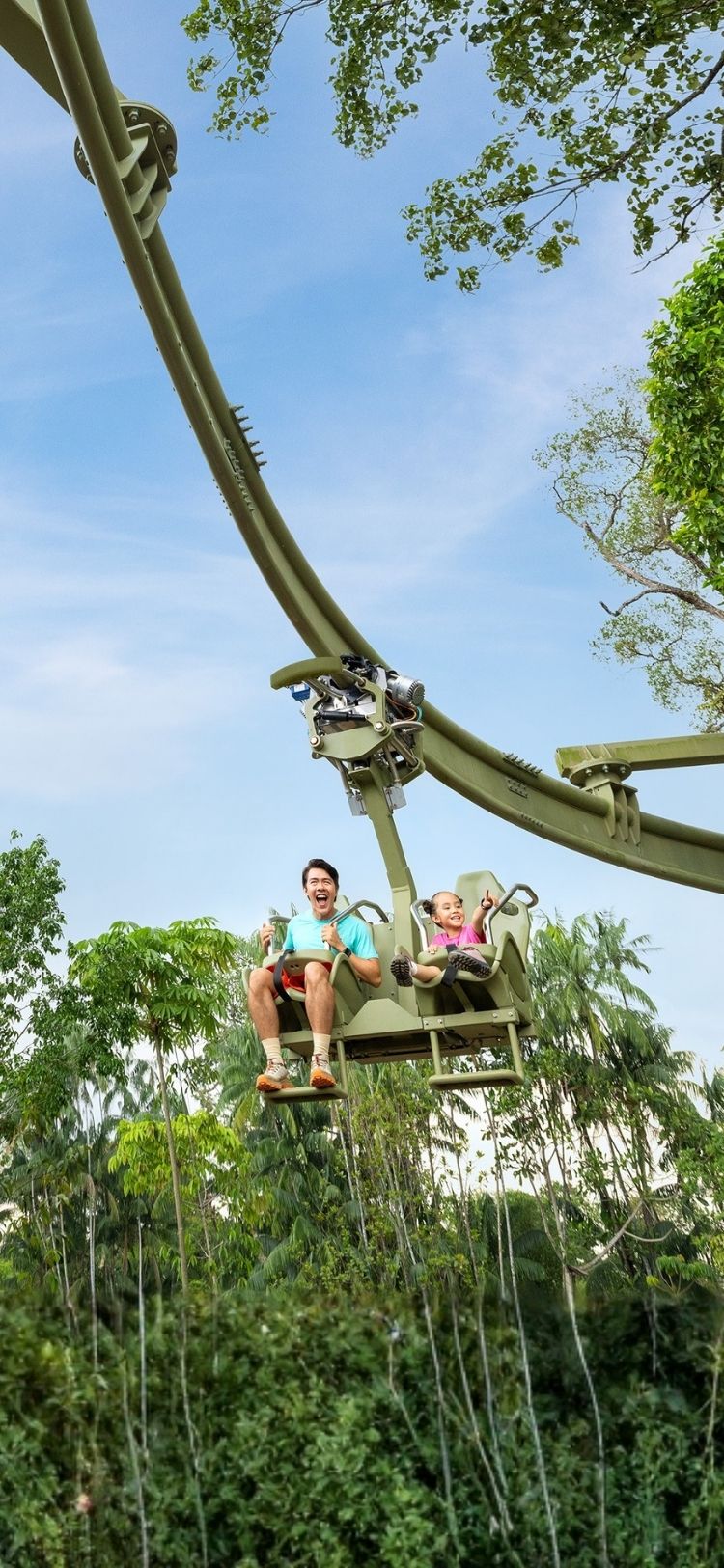PALMS L WITCH MWGS-632Ｍ.MADAI LJ Canopy Glider - Rainforest Wild Adventure | Mandai Wildlife Reserve