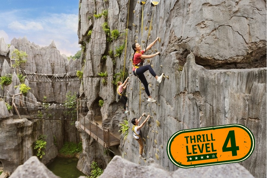 Rock Wall Climb
