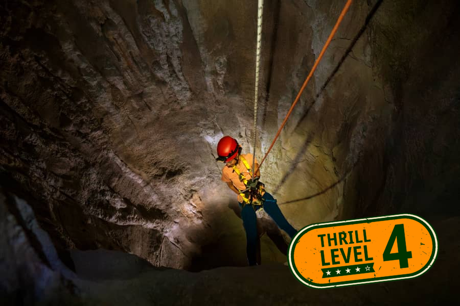 Wild Cavern Adventure