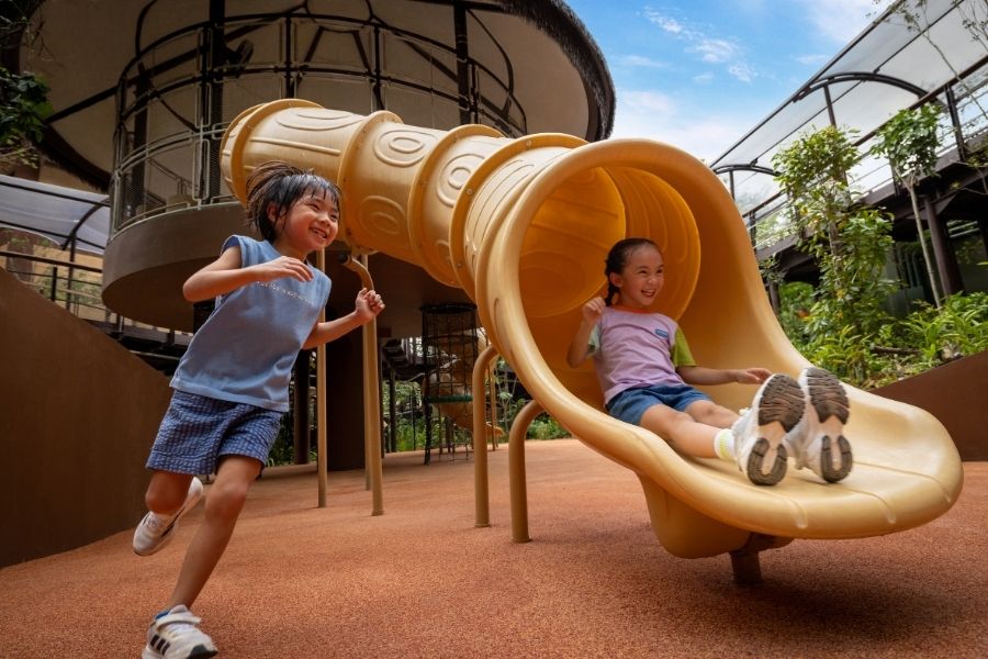 Canopy Playground