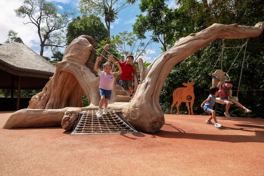 Log Playground