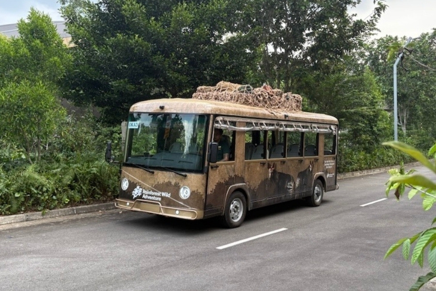 Rainforest Wild Adventure Okapi Express
