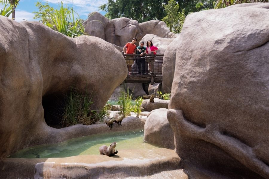 Otter Ranger Talk