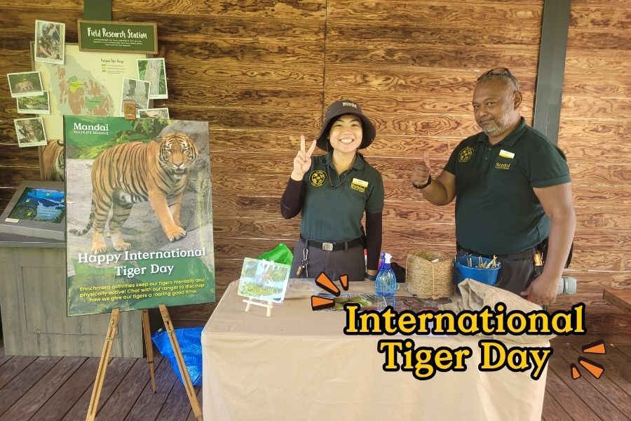 Tiger-ific Enrichment Booth