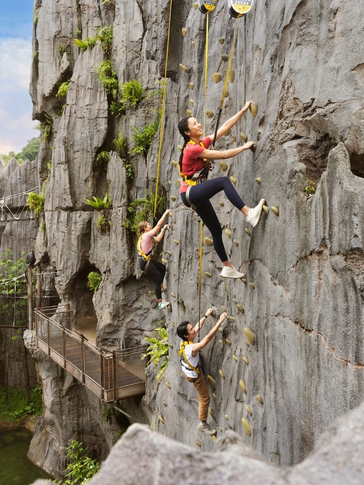 【Rex WALL・Climber ウォール・クライマー】 Rock Wall Climb - Rainforest Wild Adventure | Mandai Wildlife Reserve