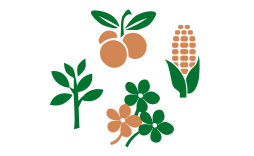 Diet