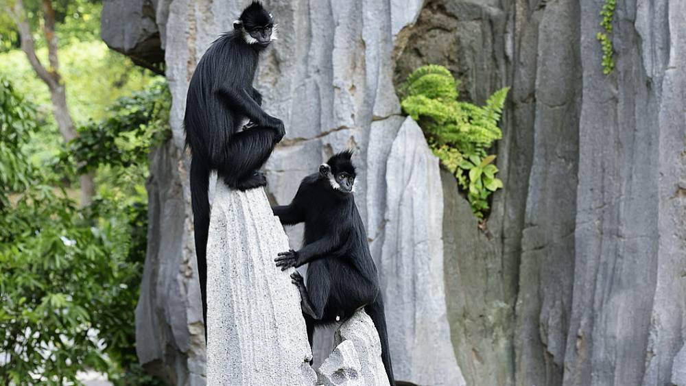 Managed Species Programmes