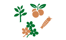Diet