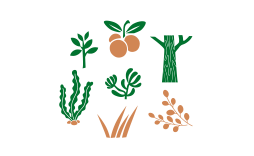 Diet