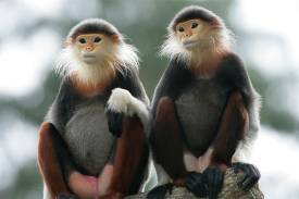 献给自然爱好者与好奇探索者的野趣之旅