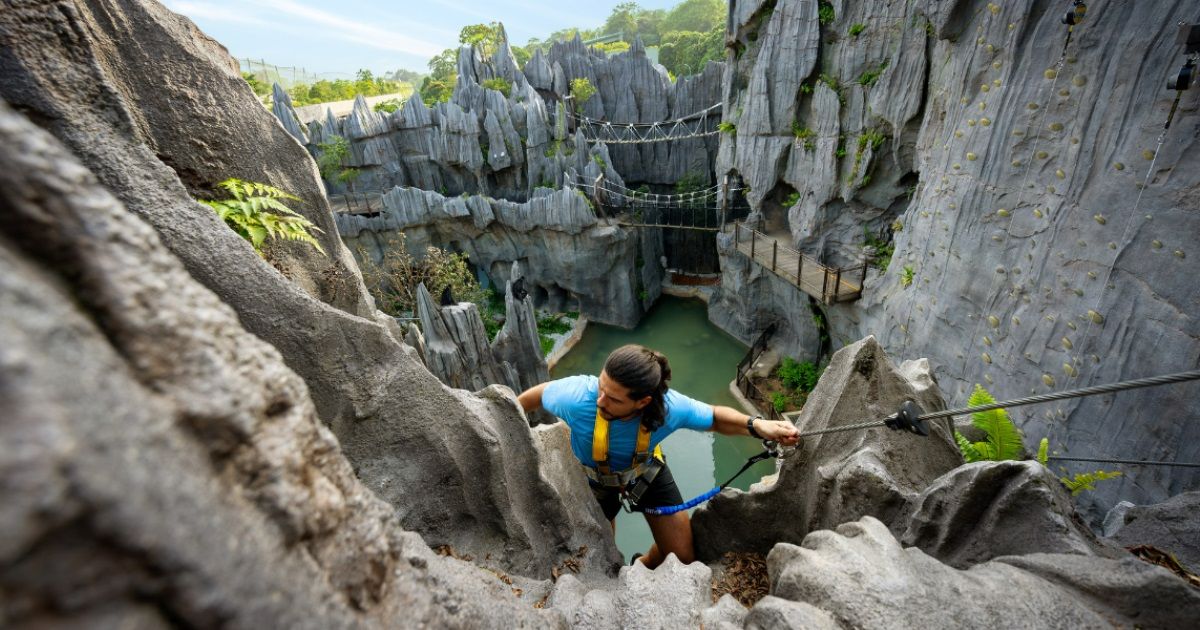 Wild Apex Adventure - Rainforest Wild ASIA | Mandai Wildlife Reserve
