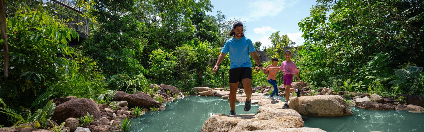 Rainforest Wild ASIA Crossing Boulders