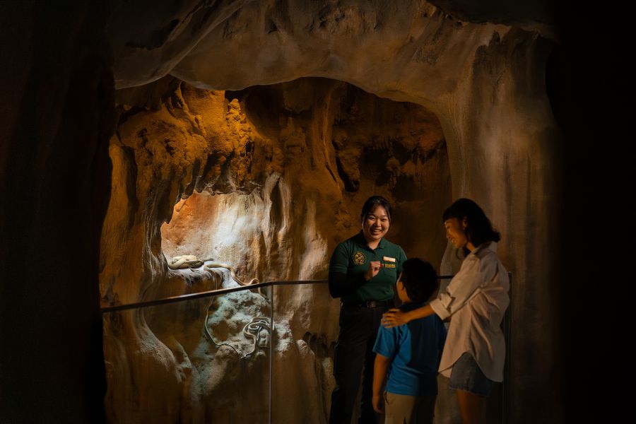 /content/dam/mandai/rainforest-wild-asia/ranger-talks/rainforest-wild-asia-cavern-ranger-talk-900x600.jpg