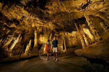 Best Photo Spots at Mandai Wildlife Reserve