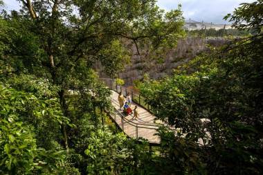 Elevated Walkway