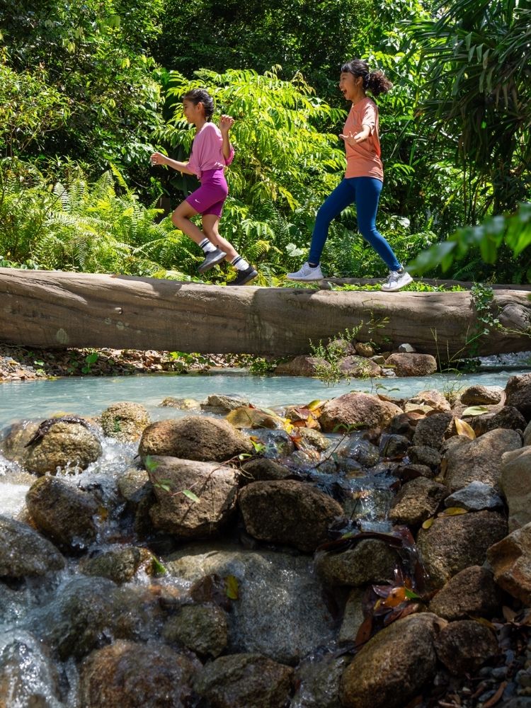 フォレスト・トレック、高架遊歩道と交差するこの冒険的なトレイルは、あなたを熱帯雨林の奥深くへと誘います。