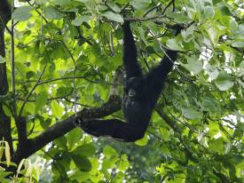 Pack Light Essentials