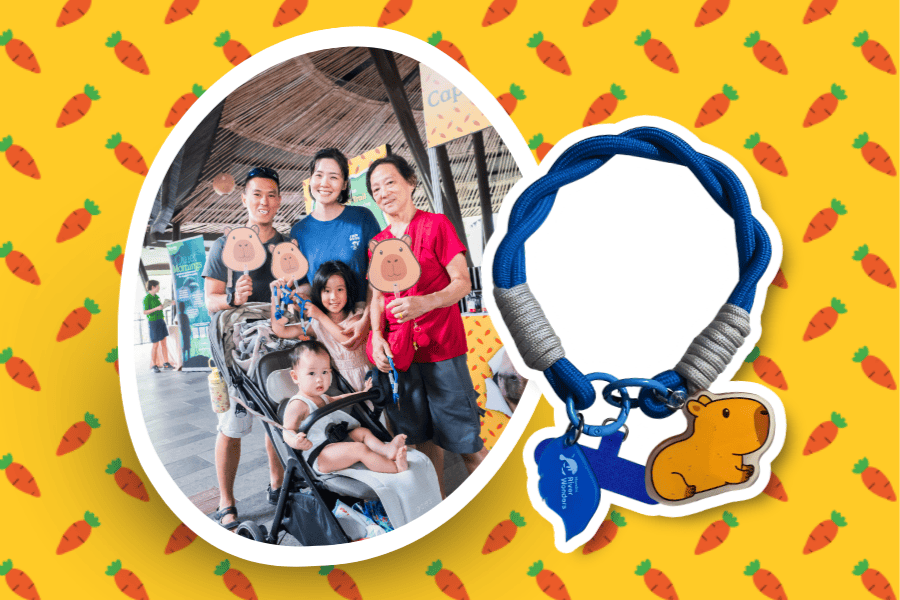 Join the Capy Crew Trail