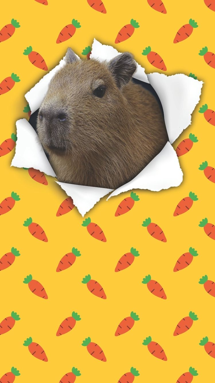 It's a Capy Celebration