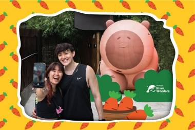 Strike a Pose with the Chillest Crew