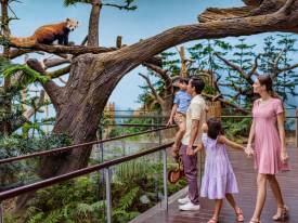 儿童必须时刻监督