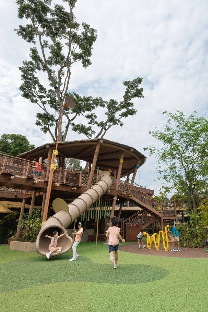 Play Trees