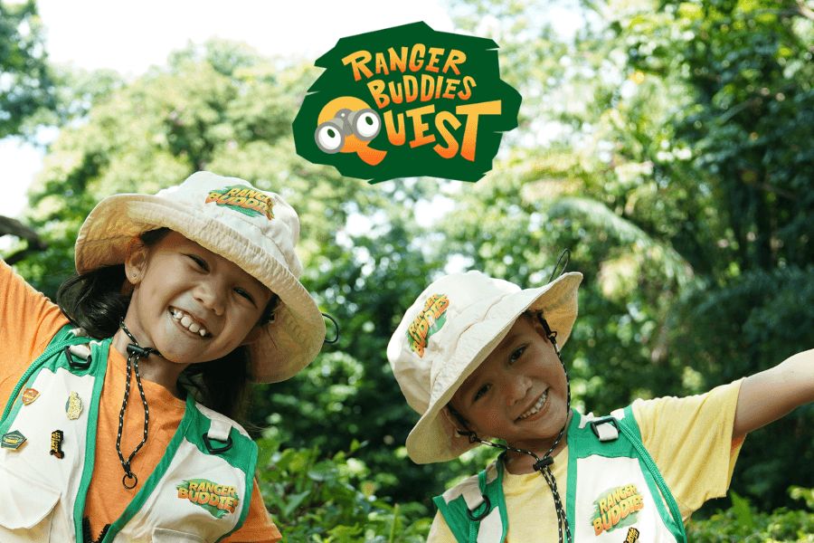 Learn about wildlife and nature with Ranger Buddies Quest in River Wonders and Singapore Zoo!