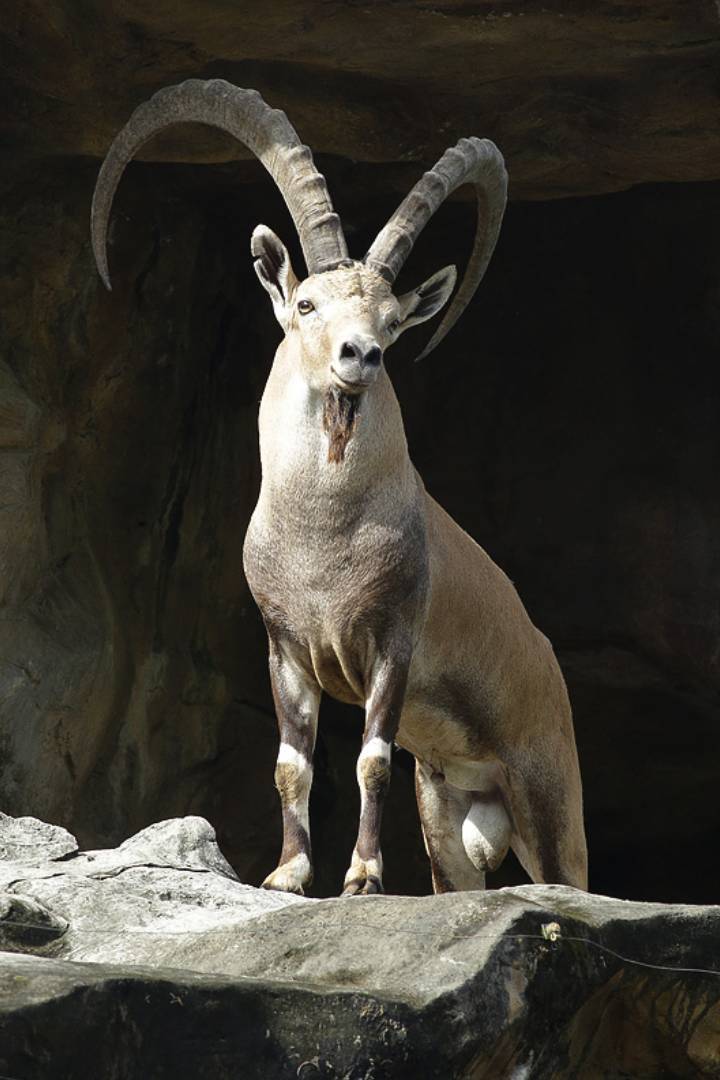 Great Rift Valley of Ethiopia