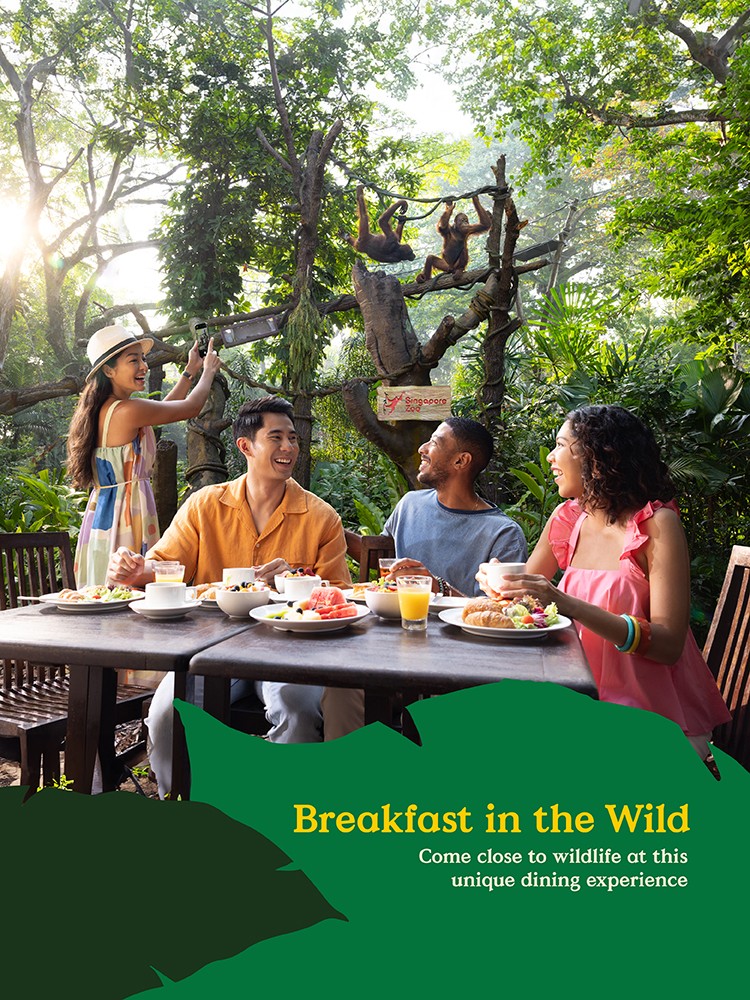 Breakfast in the Wild