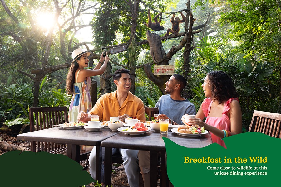 Image of a group of people having breakfast with orangutans