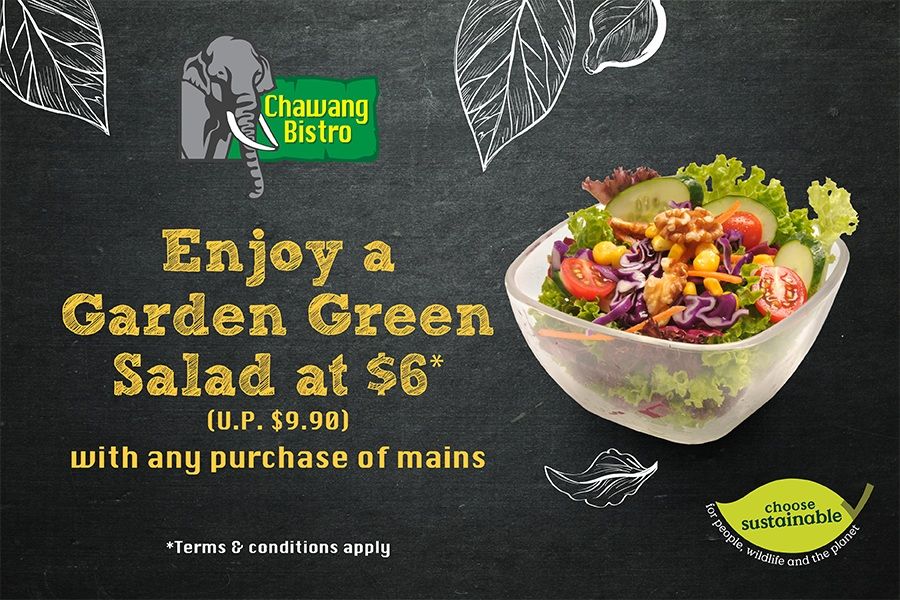Chawang Bistro Promotion – $6.00 Garden Green Salad with any main dish