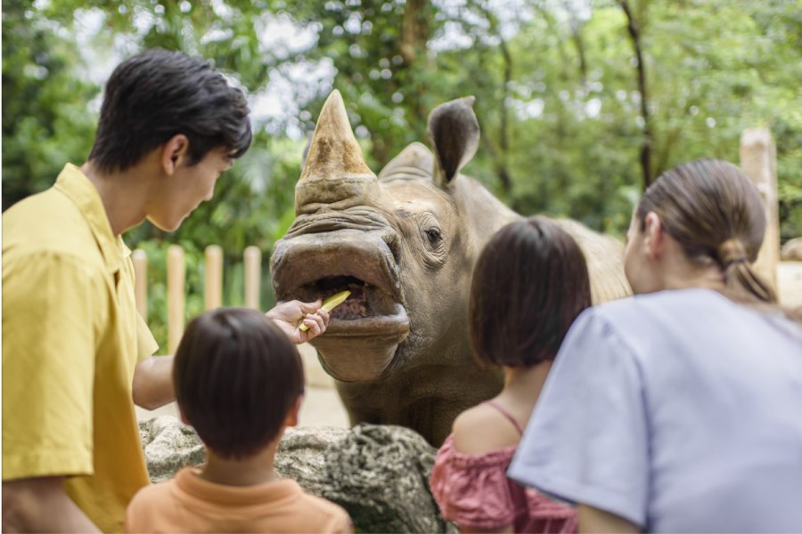 Singapore Zoo Admission Promo