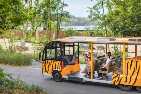 Singapore Zoo tram