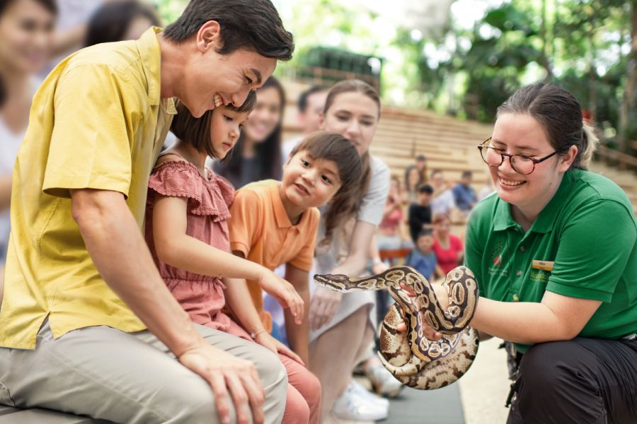/content/dam/mandai/singapore-zoo/things-to-do/rainforest-fights-back-listing-900x600.jpg
