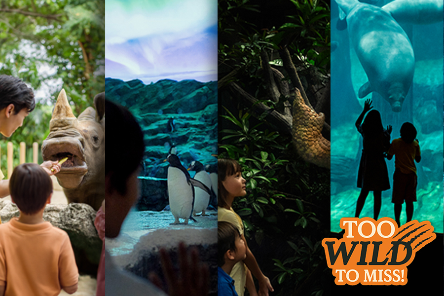 Too Wild to Miss! Itineraries